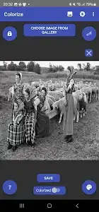 Colorize Images screenshot 1