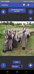 Colorize Images screenshot 2