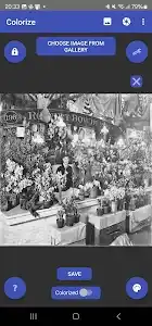 Colorize Images screenshot 3