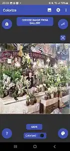 Colorize Images screenshot 4