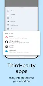 Google Chat screenshot 5