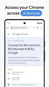 Google Chrome screenshot 5