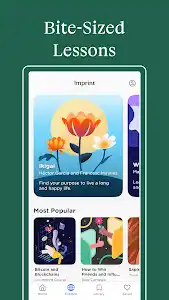 Imprint: Learn Visually screenshot 4