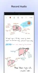 Noteshelf - Notes, Annotations screenshot 4