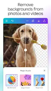 Canva: Design, Art & AI Editor screenshot 5