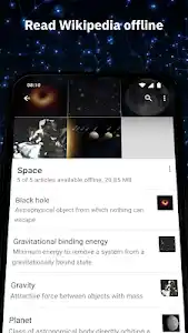 Wikipedia screenshot 2