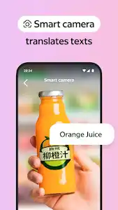 Yandex Browser with Protect screenshot 3
